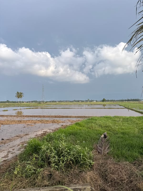 Flooded paddy fields reflect sky near Lhokseumawe, Indonesia