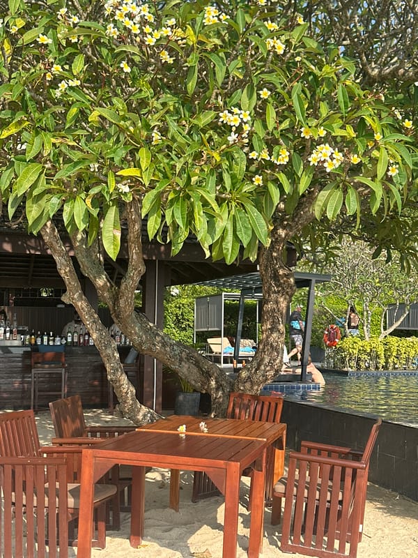 Beach bar scenes captured in Baan Taling Ngam, Thailand