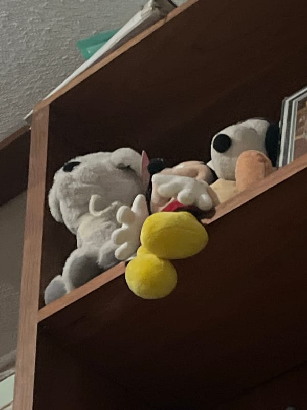 Domestic life moments captured in Santa Ana home