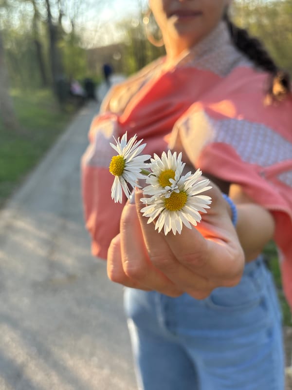 Person picks daisies, uses phone in Kragujevac park