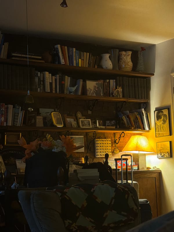 New York resident documents home bookshelf interior scene
