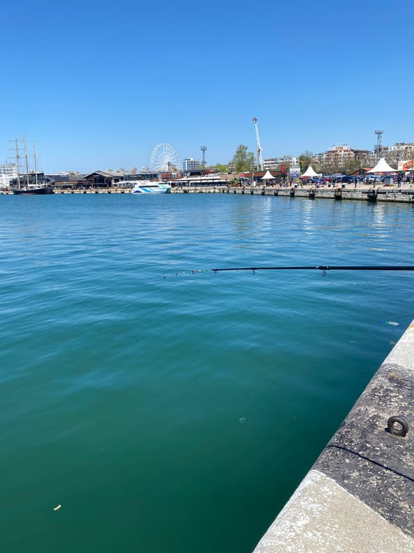 Morning fishing activity observed at Varna harbor pier