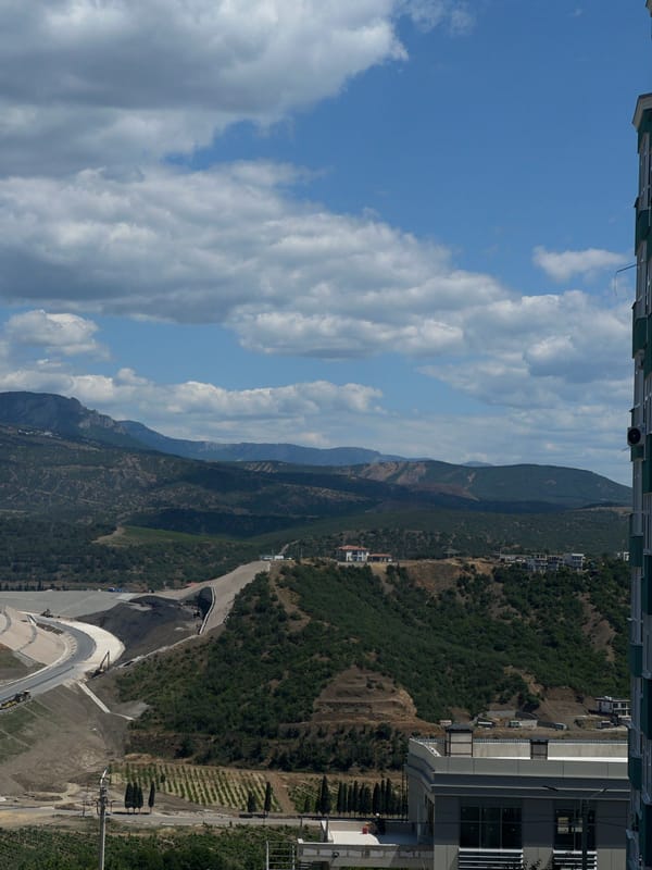 Fluffy cat at home, mountain views, and a construction site