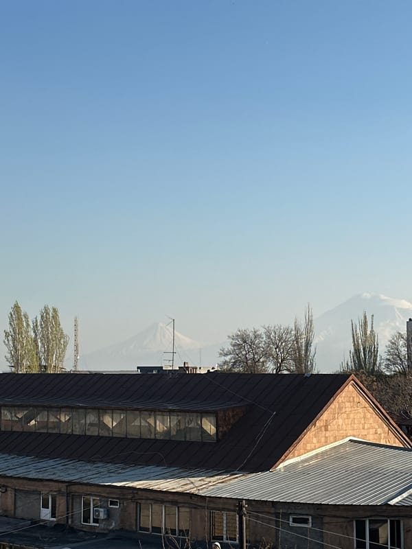 Person documents workspace display and urban mountain views