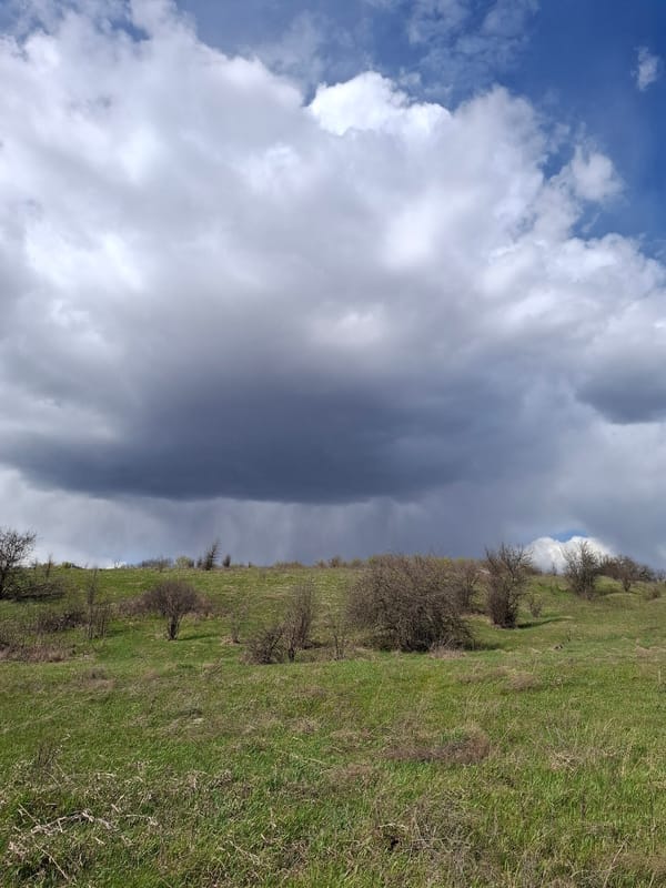 Spring countryside documented in rural Russia under dramatic skies