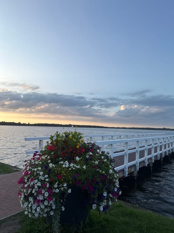 Dusk at Bad Zwischenahn's lakeside, boats and blooms