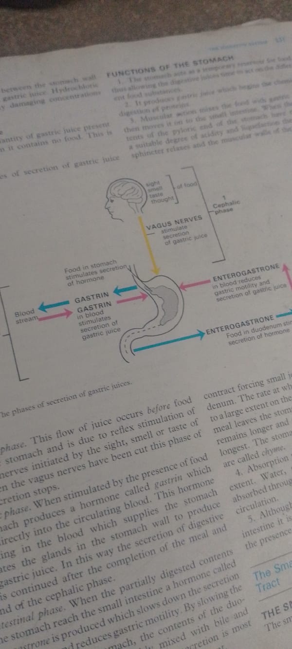 Studying human neuroanatomy from a textbook in northern Nigeria