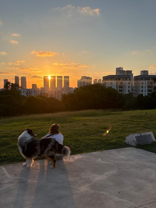 Golden hour in a Tel Aviv park, skyline in the background.