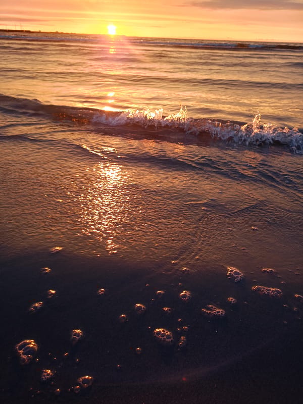 Sunset over the Baltic Sea from a Tallinn beach