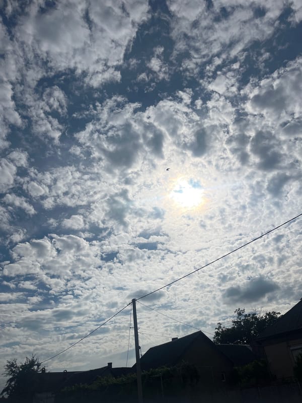 Spring afternoon captured in Tarnivtsi: cloudy skies, blooming poppy