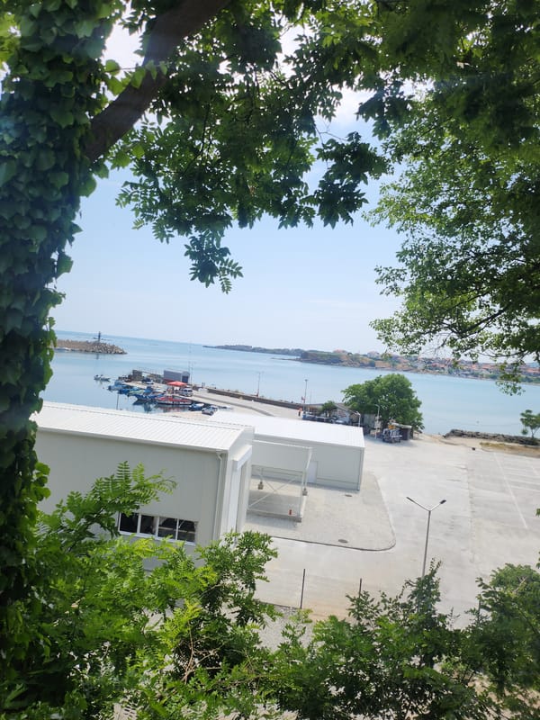 Tsarevo harbor seen through ivy-framed overlook on a clear morning
