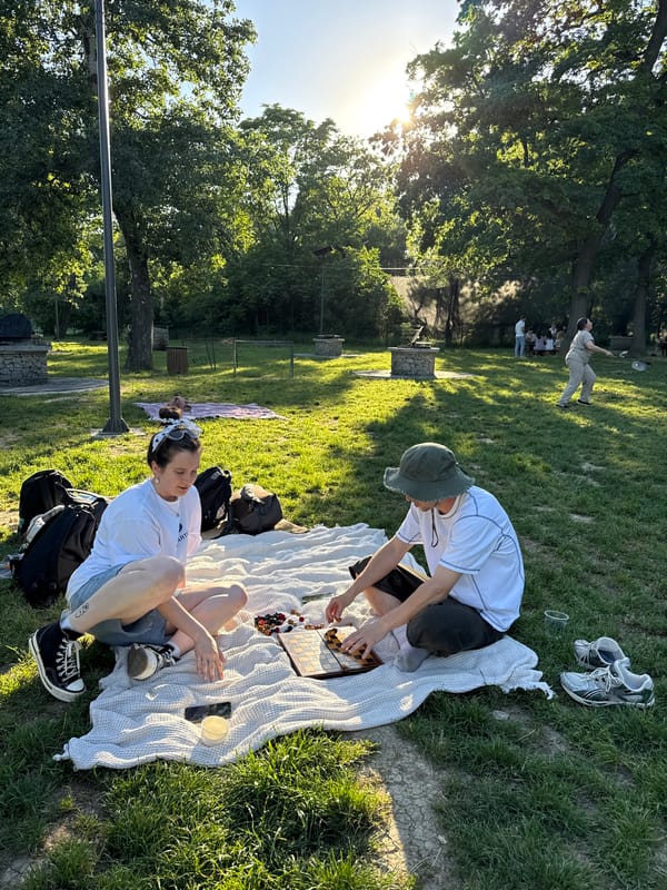 Park gatherings across Cukarica municipality draw social groups