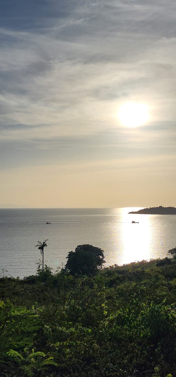 Roaming Ko Samui: coast, construction, cats, and open skies