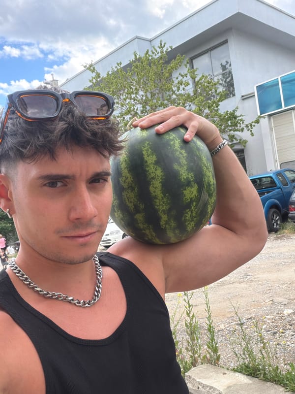 Summer afternoon in Blagoevgrad: watermelon, bugs, and caffeine