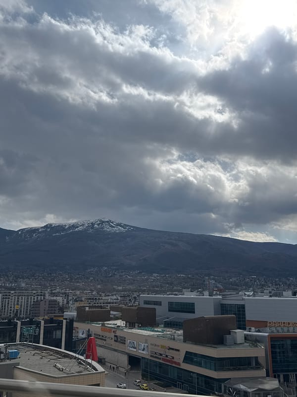 Man takes rooftop selfies overlooking Sofia cityscape