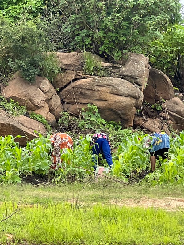 Football and farming on a Jos hillside on a July morning