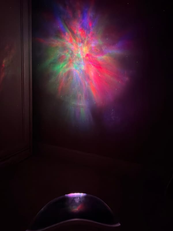 Child and chihuahua share quiet domestic moment in Votkinsk