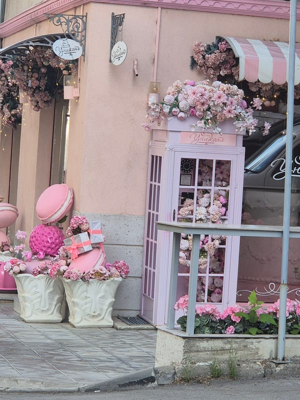 Morning collection captures flowers, street dogs, urban scenes