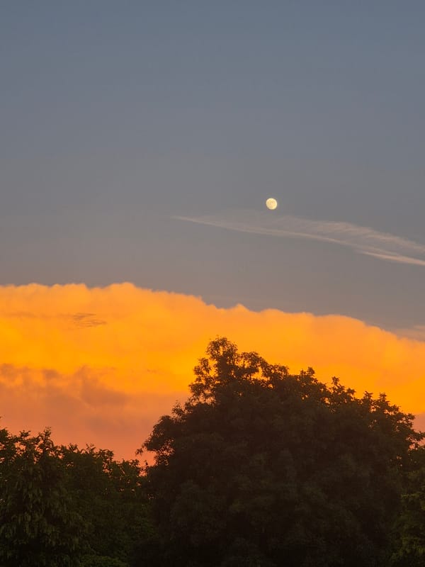 Sunset and moon observed simultaneously with cat in Pavlikeni