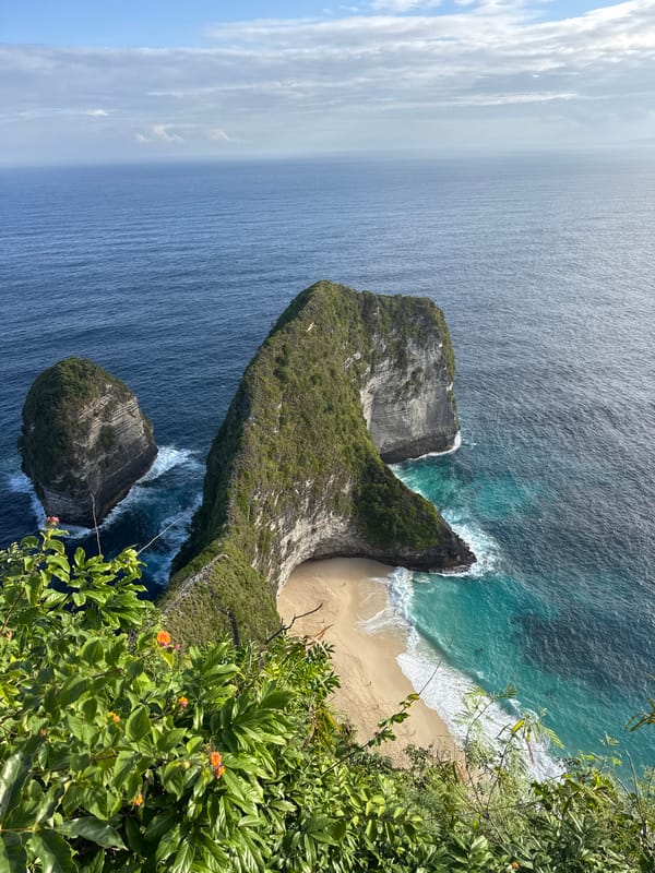 Kelingking Beach's iconic T-Rex cliff from above