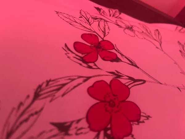 Early morning indoor scenes captured in Dar es Salaam bedroom