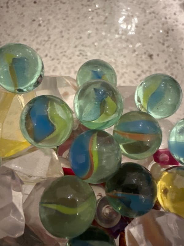 Indoor close-ups of shells, figurines, and a German Shepherd