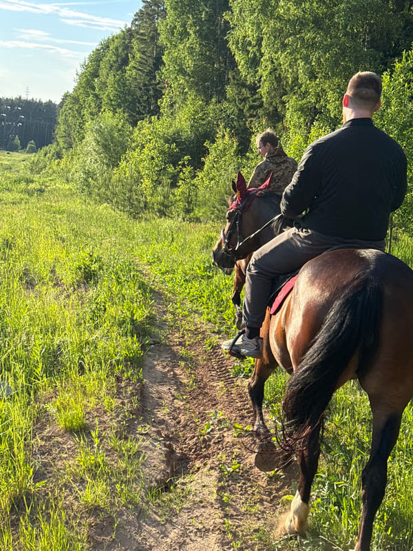 Horseback riders enjoy afternoon trail ride near Russian forest