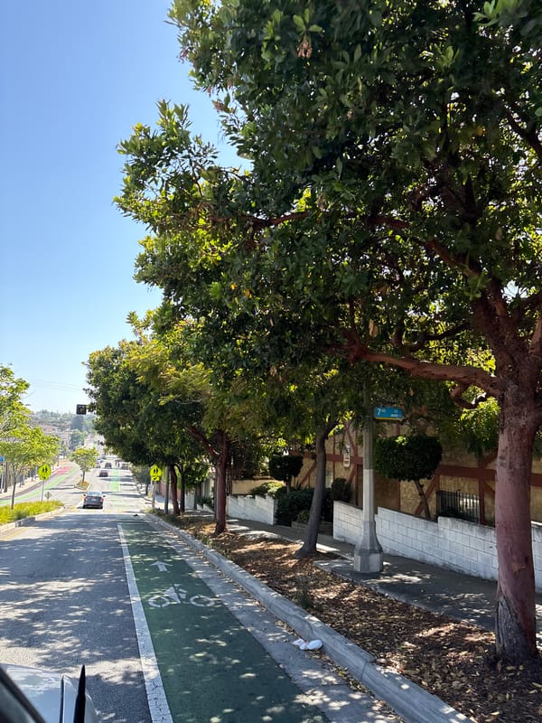 Afternoon street scenes documented in Santa Monica