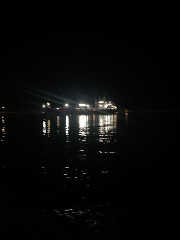 Balchik harbor at dusk: boats, sculptures, scooters, and street cats