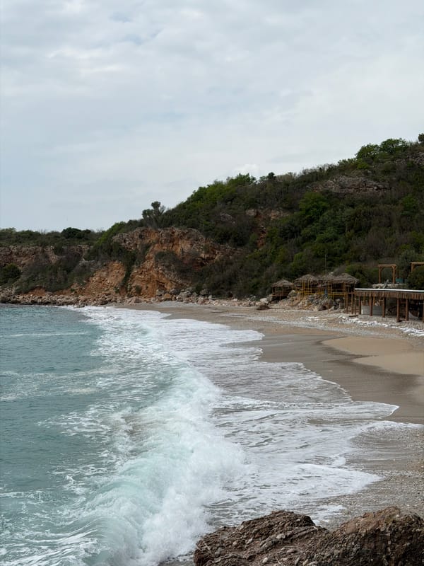 Woman visits scenic Drobnići beach with dog in Montenegro