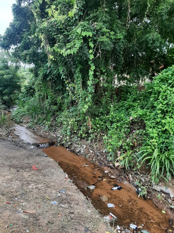Residential backstreets and overgrown lots in Ogbomosho, Nigeria