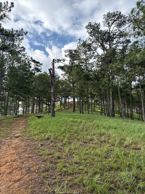 Witness captures changing Da Lat plateau landscapes over 10 minutes