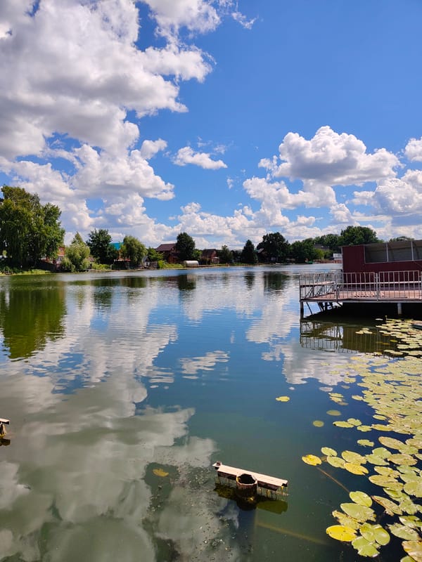 Still waters and lily pads near Dmitriyevka on a summer day