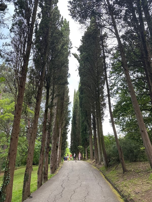 Morning stroll through Sochi's Japanese-themed botanical garden