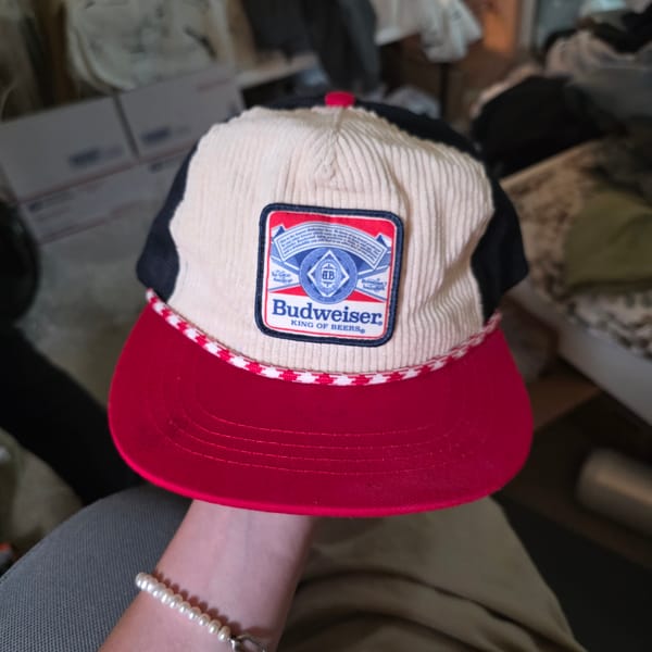 Chill Portland evening: cats, collectibles, and home comforts