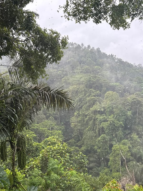 Tourist captures rainy morning scenes across lush Manggis, Indonesia