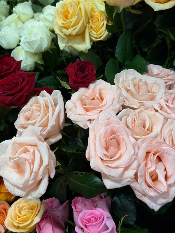 Market scenes documented in Penza, Russia showing diverse foods