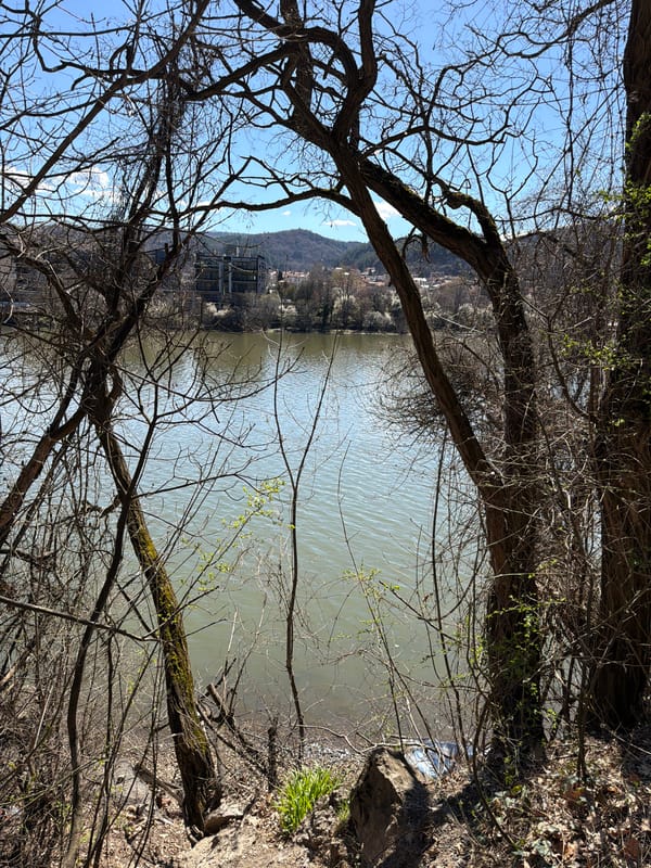 Photographer captures serene spring lake scene amid bare trees