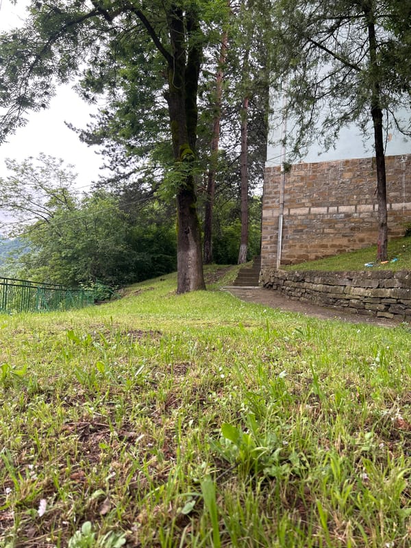 Witnesses document cats, pathways, rushing river in unknown location