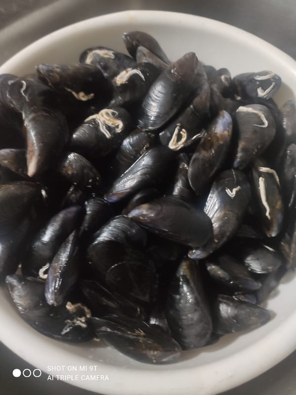 Mussels and a nesting duck in rural northern Italy