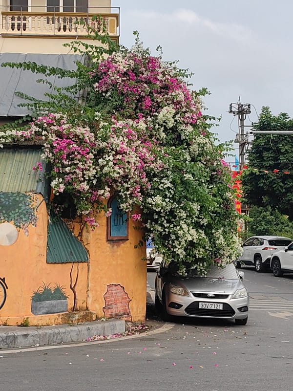 Morning life documented across Hong Gai Ward, Vietnam