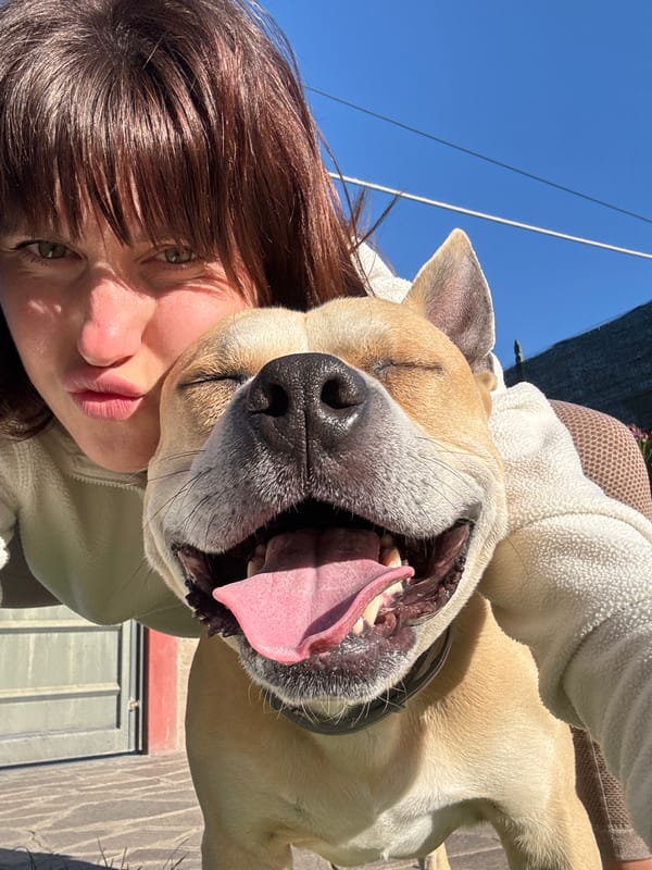 Dog walk and selfies captured in Italian countryside