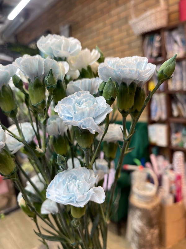 Flower arranging and bouquet photography session in Kommunarka