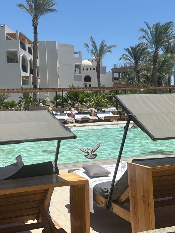 Lazy poolside morning at a Hurghada resort