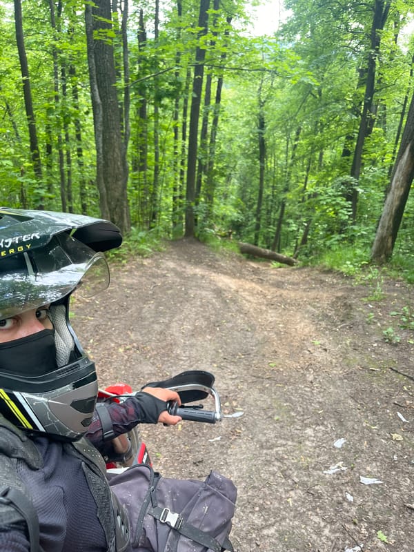 Motorcyclist documents fallen trees blocking forest trails in Russia