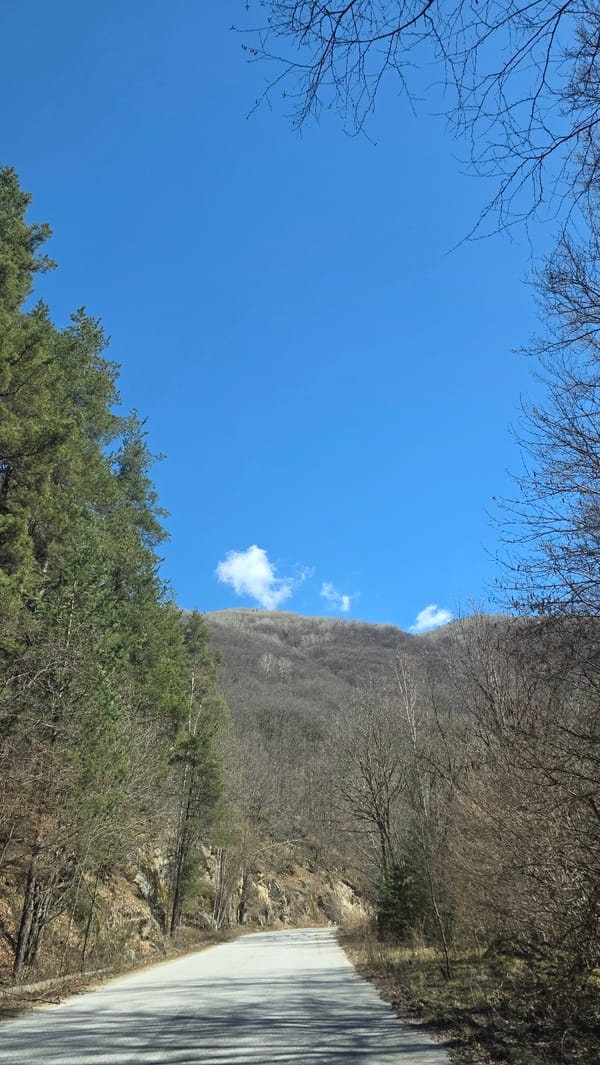 Mountain road documented near Blagoevgrad under clear skies