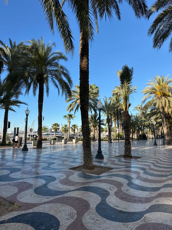Morning triathlon preparation observed at coastal promenade location