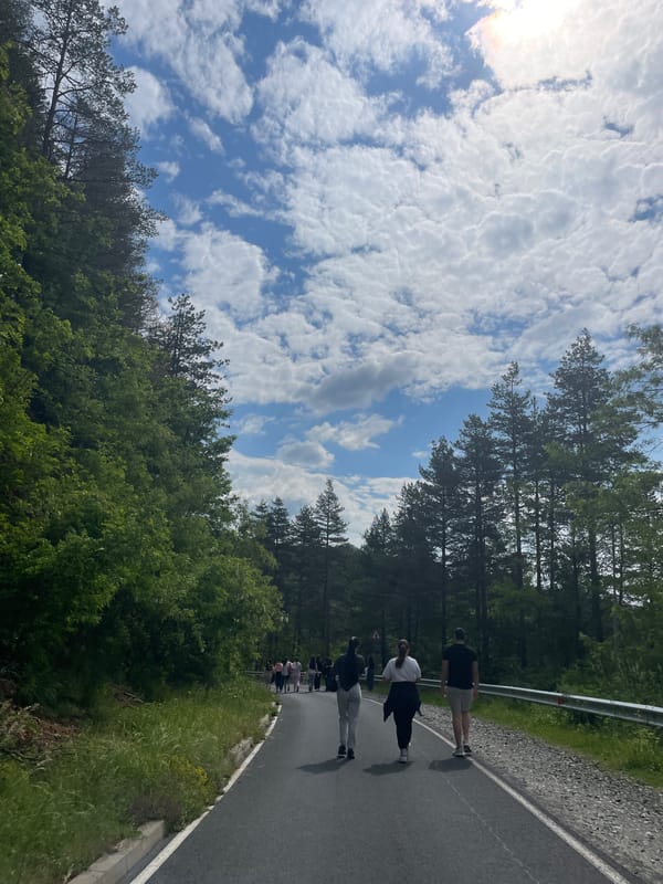Morning scenes documented in rural Alamovtsi, Bulgaria village