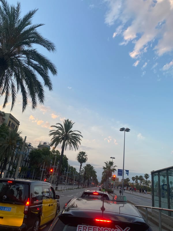 Evening street life documented across Barcelona landmarks and districts
