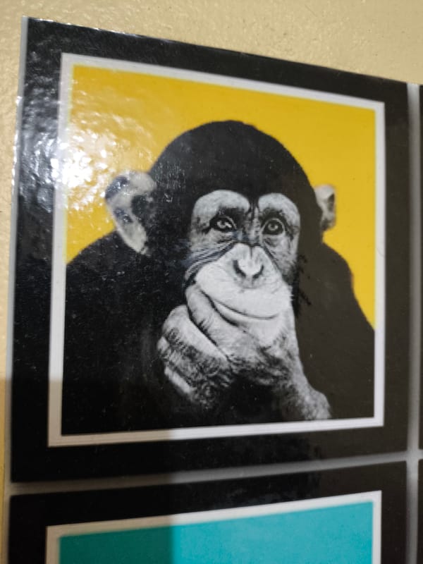 Colorful chimpanzee art prints observed in grid arrangement